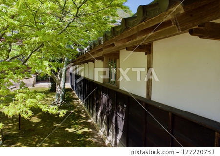 A corner of a typical old Japanese garden 127220731