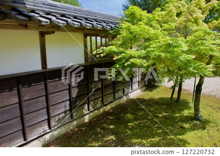 A corner of a typical old Japanese garden 127220732