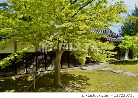 典型的日本古老花園的一角 典型的日本古老花園的一角 127220733
