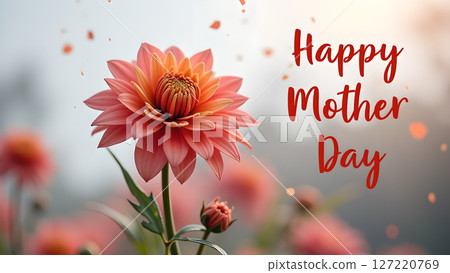 Vibrant dahlia flower blooming for mother's day celebration, offering love 127220769