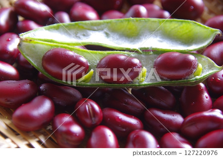 紅蠶豆,蠶豆,紅蠶豆 紅蠶豆,蠶豆,紅蠶豆 127220976