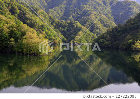 Fresh green reflected on the lake surface Fresh green reflected on the lake surface 127222095