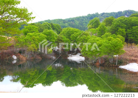 靜謐的池塘，殘雪中，新綠環繞 127222213