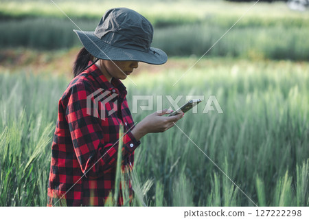 wheat farmer harvest business concept farming agronomist analyzing data barley examines food field summer cereal agriculture Smart farm modern management growth control organic summer background blur wheat farmer harvest business concept farming agronomist analyzing data barley examines food field summer cereal agriculture Smart farm modern management growth control organic summer background blur 127222298