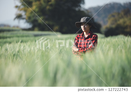 wheat farmer harvest business concept farming agronomist analyzing data barley examines food field summer cereal agriculture Smart farm modern management growth control organic summer background blur 127222743