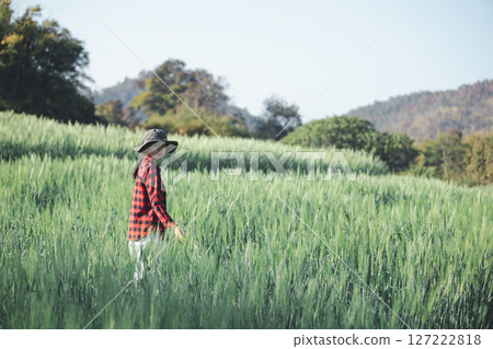 wheat farmer harvest business concept farming agronomist analyzing data barley examines food field summer cereal agriculture Smart farm modern management growth control organic summer background blur 127222818