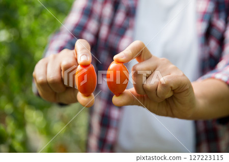 Smart farming techniques hydroponic salad vegetables technology tomato red green ensuring fresh sustainable produce agriculture promotes healthy eating support farmer living local community non gmo Smart farming techniques hydroponic salad vegetables technology tomato red green ensuring fresh sustainable produce agriculture promotes healthy eating support farmer living local community non gmo 127223115