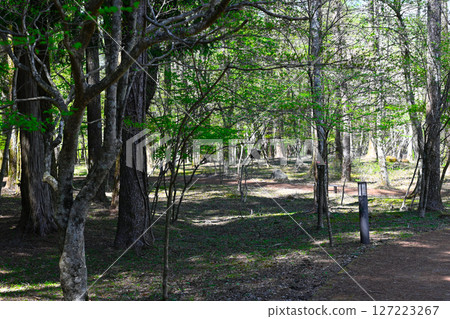 View of Hakone Highland Hotel 127223267