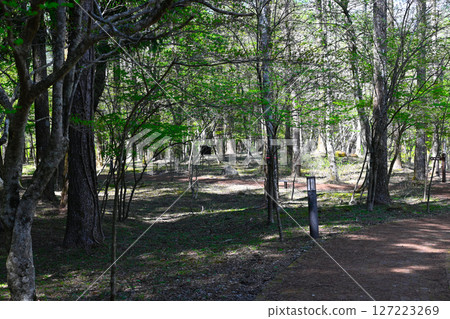 View of Hakone Highland Hotel 127223269