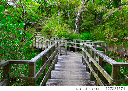 箱根高原酒店景觀 箱根高原酒店景觀 127223274