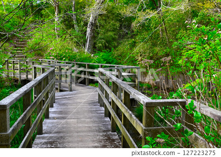 View of Hakone Highland Hotel 127223275