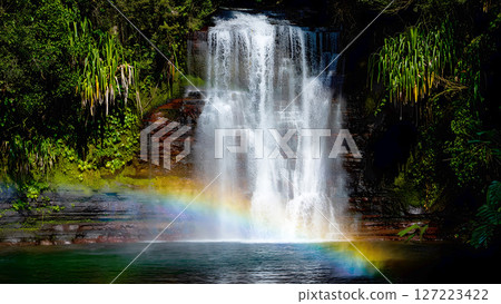 Majestic waterfall cascading into a pool with lush greenery and a vibrant rainbow displayed at the bottom Majestic waterfall cascading into a pool with lush greenery and a vibrant rainbow displayed at the bottom 127223422