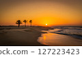 Golden hour serenity palm trees silhouetted against a vibrant beach sunset with gentle waves and warm reflection 127223423