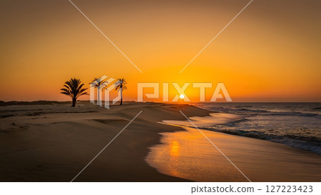 Golden hour serenity palm trees silhouetted against a vibrant beach sunset with gentle waves and warm reflection Golden hour serenity palm trees silhouetted against a vibrant beach sunset with gentle waves and warm reflection 127223423