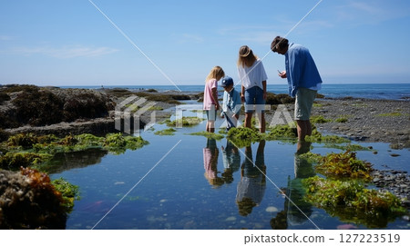 Family exploring tidal pools on a sunny day at the beach, enjoying the beauty of nature together 127223519