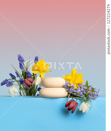 Wood stones and flowers muscari, grouse and blue brunnera sibirica red and blue gradient background. Concept scene stage showcase for new product, banner, promotion sale, cosmetic, presentation Wood stones and flowers muscari, grouse and blue brunnera sibirica red and blue gradient background. Concept scene stage showcase for new product, banner, promotion sale, cosmetic, presentation 127224274