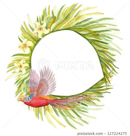 Flying golden pheasant, palm leaves and white tropical flowers watercolor wreath. Hand drawn rainforest nature isolated clipart, sketch style. Exotic paradise bird and plants round frame illustration Flying golden pheasant, palm leaves and white tropical flowers watercolor wreath. Hand drawn rainforest nature isolated clipart, sketch style. Exotic paradise bird and plants round frame illustration 127224275