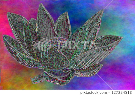 古蓮(加工品) 古蓮(加工品) 127224518