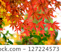 Momiji who changed leaves 127224573