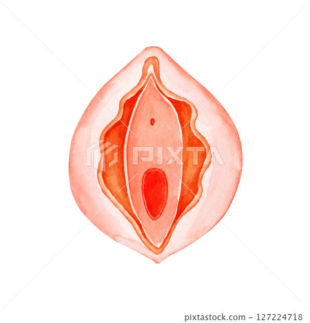 Infertility, pregnancy, female genitals, reproductive organs, watercolor illustration 127224718