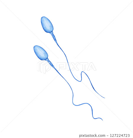 不孕症、懷孕、男性生殖器、生殖器官、精子、水彩插圖 不孕症、懷孕、男性生殖器、生殖器官、精子、水彩插圖 127224723