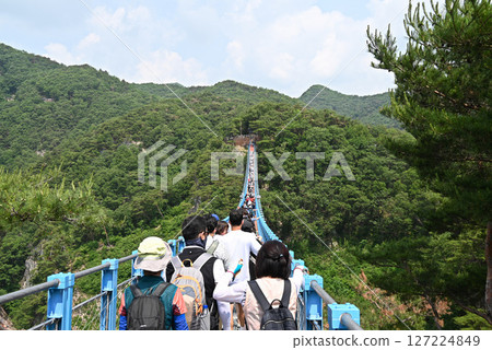 [韓國/江原道/原州] 小金山大峽谷的吊橋 127224849