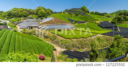 [京都府]宇治茶產地和束町的石寺茶園 127225502