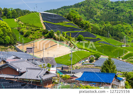 [京都府]宇治茶產地和束町的石寺茶園 127225556