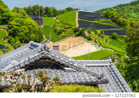 [京都府]宇治茶產地和束町的石寺茶園 127225562