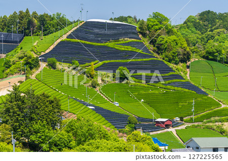 [京都府]宇治茶產地和束町的石寺茶園 127225565