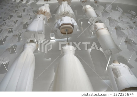 2025 Osaka Kansai Expo: French Pavilion Exhibition 127225674