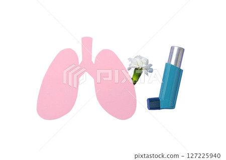 Lungs, inhaler, and flower, isolated on white background 127225940