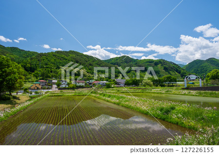 Rice field scenery in Nagano town - A peaceful countryside 127226155