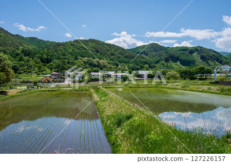 Rice field scenery in Nagano town - A peaceful countryside Rice field scenery in Nagano town - A peaceful countryside 127226157