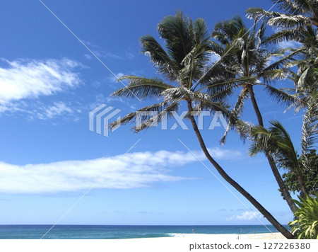 blue sea and sky 127226380