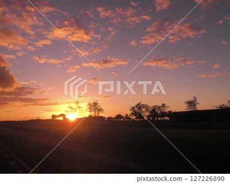 road illuminated by the setting sun 127226890