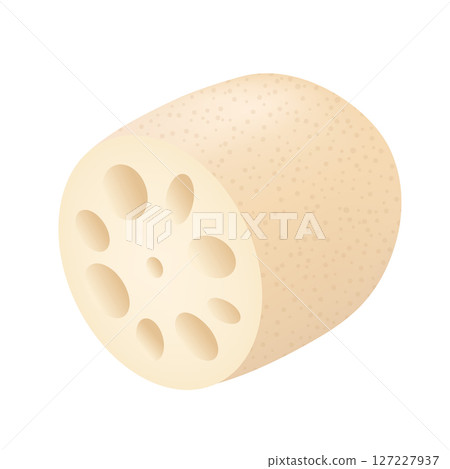 蓮藕圖標 127227937