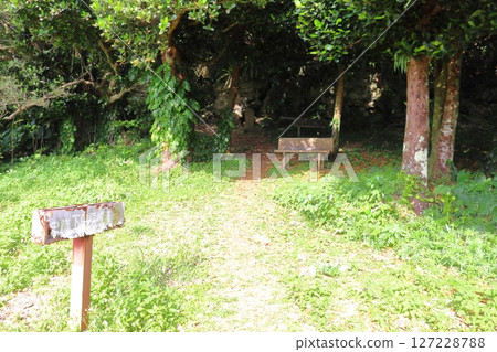 Buribuchi Park at the ruins of the dilapidated Shimodawara Castle (Hateruma Island, Okinawa Prefecture) Buribuchi Park at the ruins of the dilapidated Shimodawara Castle (Hateruma Island, Okinawa Prefecture) 127228788