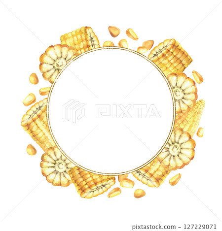 Sweet Corn cobs with maize kernels gold framed wreath. Whole and sliced corncobs circle frame. Watercolor realistic yellow plant card template Painted illustration for canned food, oil label. Isolated 127229071
