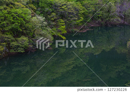 Ryugahana Dam surrounded by fresh greenery 127230226