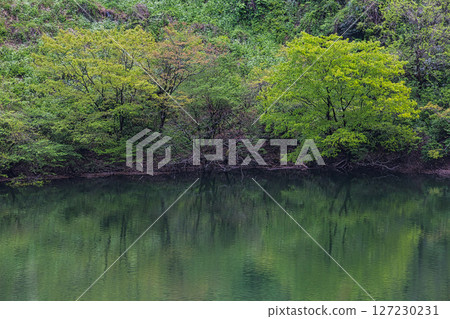 綠意盎然的龍河鼻水壩 綠意盎然的龍河鼻水壩 127230231