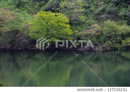 綠意盎然的龍河鼻水壩 綠意盎然的龍河鼻水壩 127230232