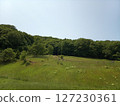 Grassland and blue sky 127230361