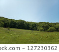 Grassland and blue sky 127230362