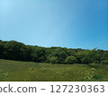 Grassland and blue sky 127230363