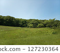 Grassland and blue sky 127230364