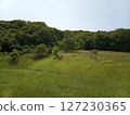 Grassland and blue sky 127230365