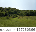 Grassland and blue sky 127230366