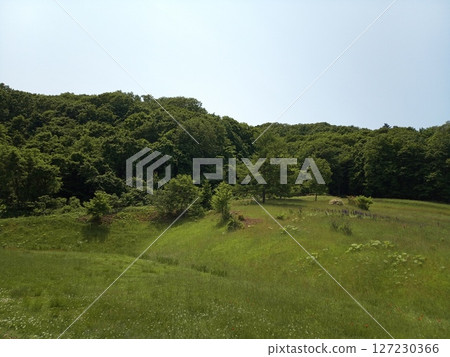 草原和藍天 127230366