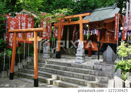 Tokyo's Tanashi Shrine, Nowake Hatsu Inari Shrine, Goryujin's Power Spot 127230425